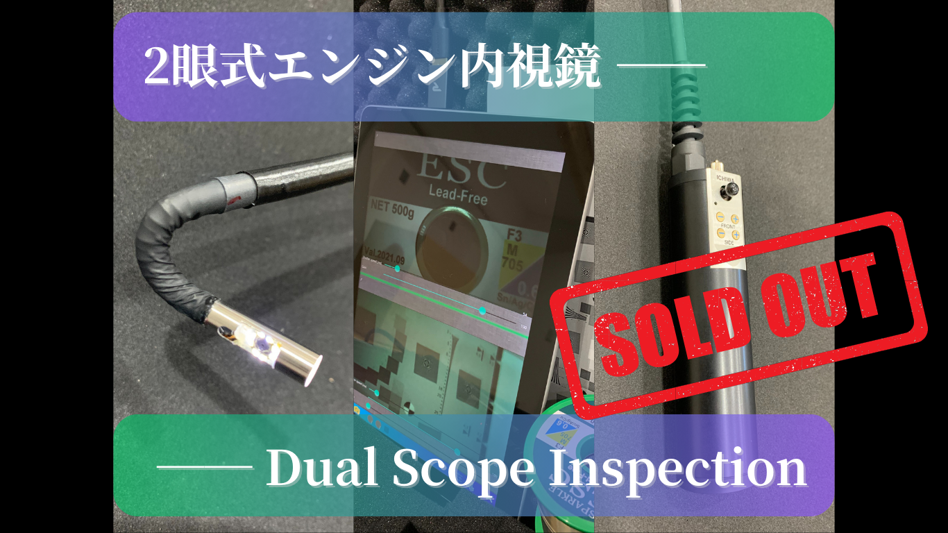DSI（Dual Scope Inspection）